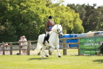 SBM_07224