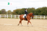 SBM_001913