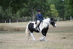 WJ7_4661