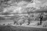 Up on the Wolds Kirby Grindalythe