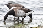 180307-Wirral0149
