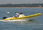 120725 SCORPION YELLOW RIB WT7A7919