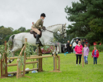 Dunblane show-681