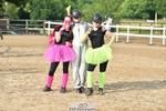 Customer Favourite Folders - Pony Premier portfolio