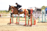 SBM_000684