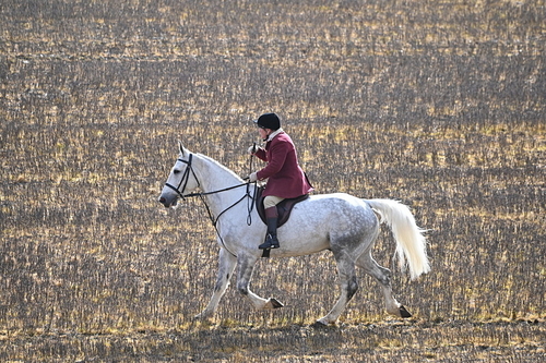 WJ6_8594