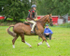 Dunblane show-35