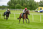 110626-Race 3-Powernap-4587