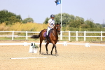 SBM_003718
