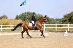 SBM_009445