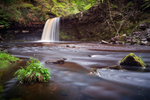 Lady Falls 03