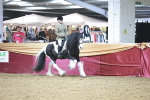 SBM_08909
