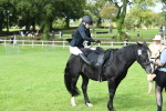 SBM_46841