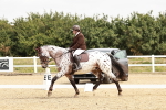 SBM_002739