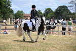 WJ6_5436