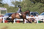 JPP_1933