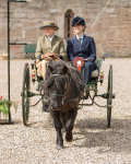 Attelage -597