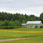 Shades of Green New Brunswick Canada