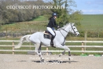 BPP_2997