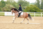 SBM_006456