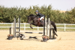 SBM_002162