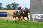 010826-Race 3-Brighton Beach-2695