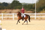 SBM_018650