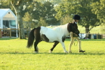 SBM_57284
