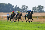 160726-Race 6-Capital Guarantee-5115