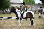 WJ6_3877