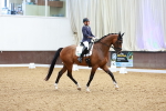 SBM_004331