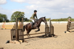SBM_03355