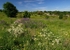 Manor Fields Park #02