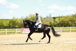 SBM_000204