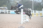 Cls 2 BlueChip Pony Novice Qualifier portfolio