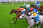 200825-Race 7-Rubys Angel-2067