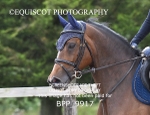 BPP_9917