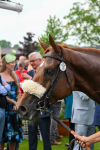 170524-Race 4-Giavellotto-8231