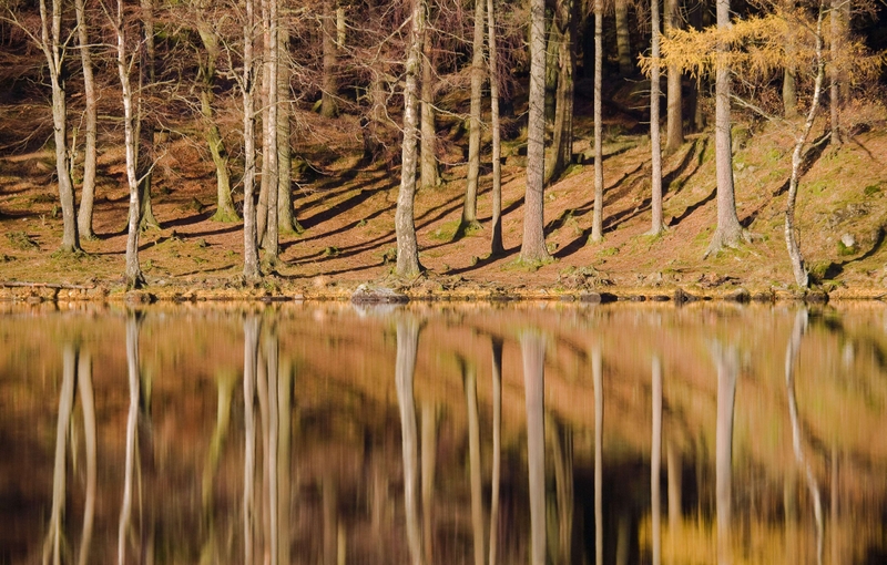 Blea Tarn Reflection - Langdale - Lake District