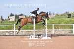 BPP_2372