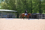 WJ6_9918
