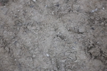SBM_006288