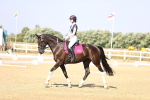 SBM_002708