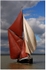 SB Thistle (2)