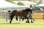 SBM_02056