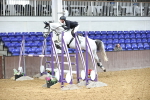 SBM_003654