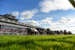 310526-Race 5-Fandom-3632