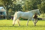 SBM_57297