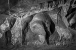 10-Mewslade