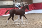 JAC_5768